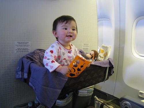 Overjoyed with the airplane's bassinet