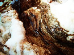 flourless chocolate cake (tyler florence's) - 29