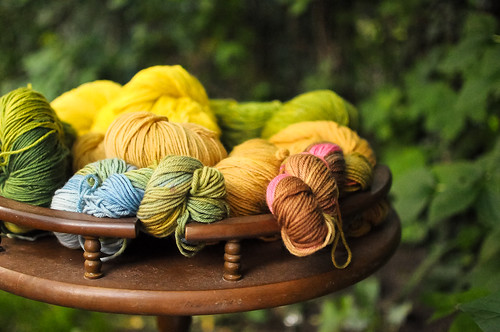 Advanced Natural Dyeing Reunion