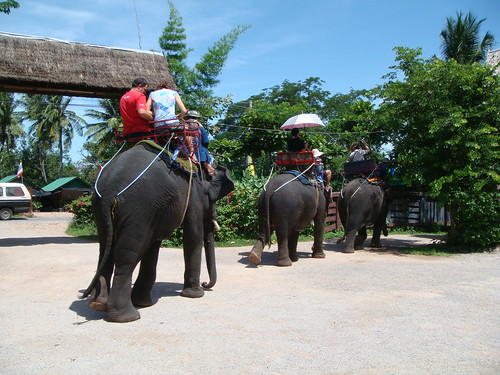 Thailand: Elephant Ride and Snake Show