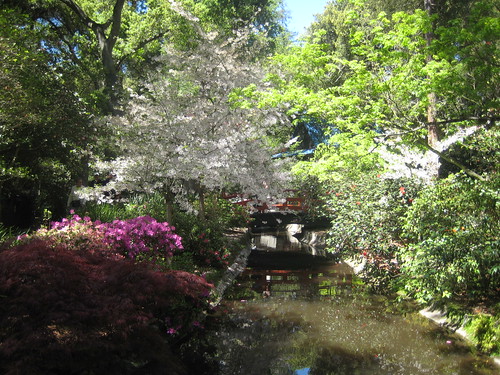the Japanese garden