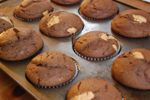 Peanut Butter Chocolate Cupcakes