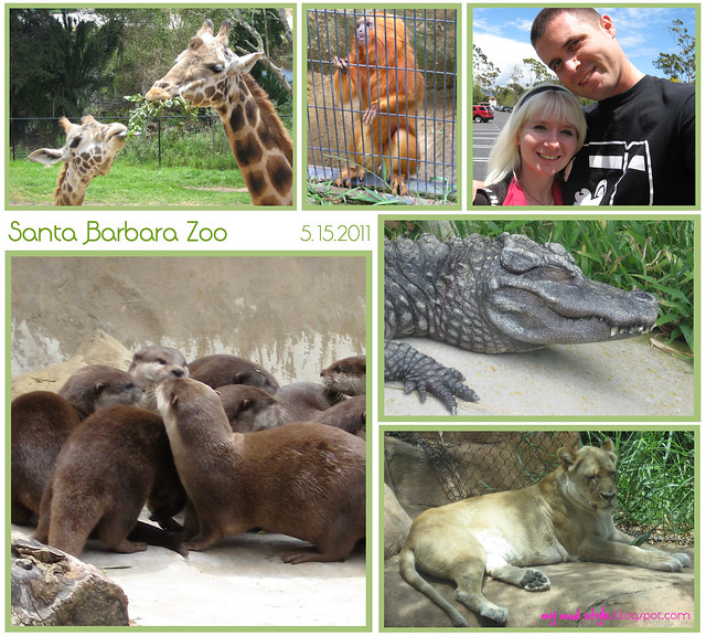 california sb zoo collage2