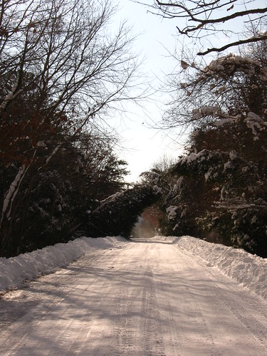 Miller School Road