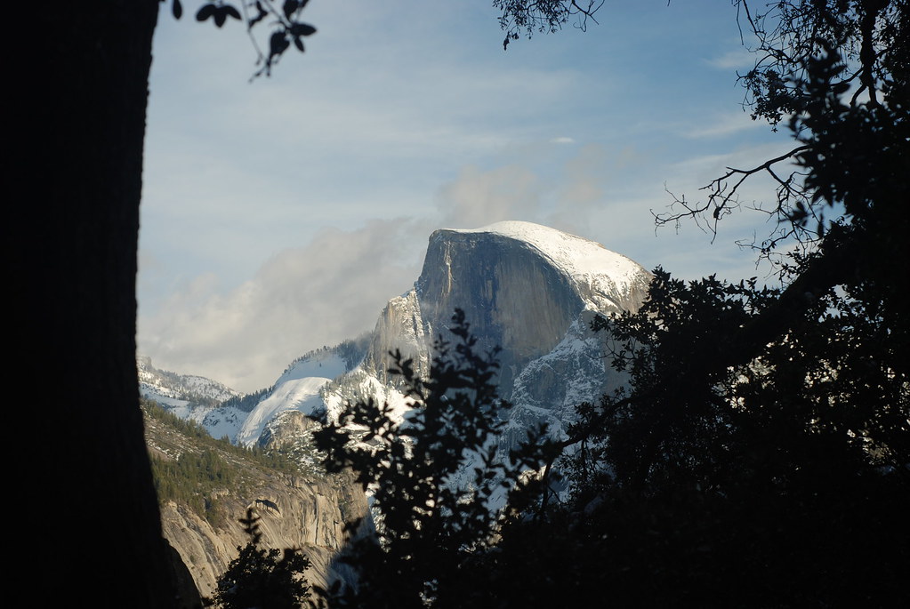 Half Dome peaking out from the trees