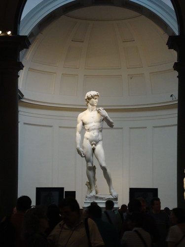 Illegal Photograph of "The" David