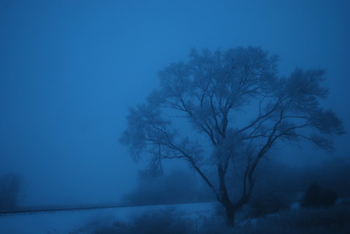 Snowy blue....