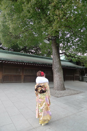 Kimono lady under the tree