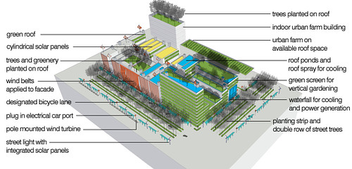 reforestation & green urban design techniques (by: Vanessa Keith)