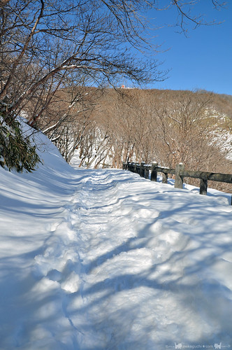 Nasu Kogen - Winter 17