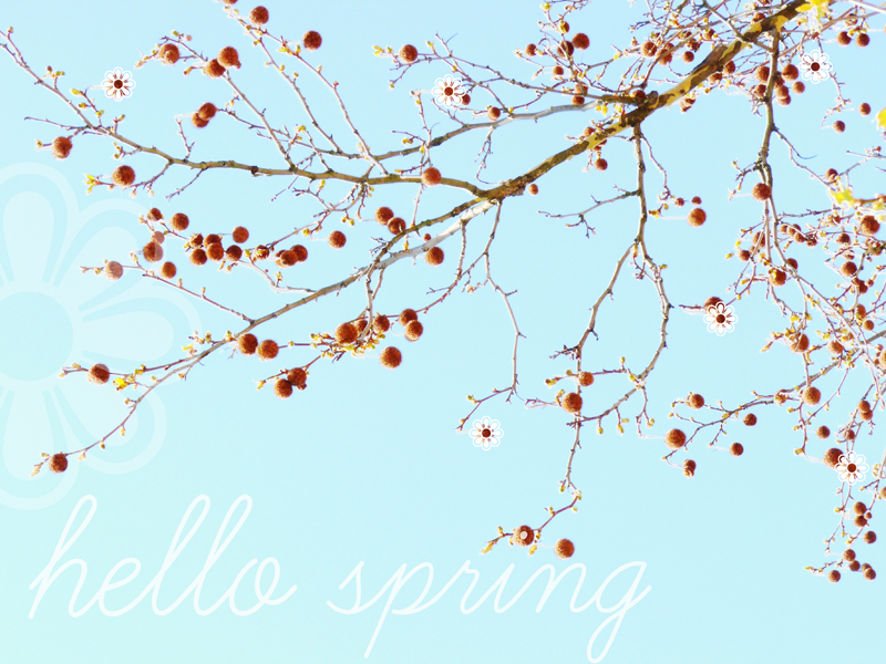 hello spring!
