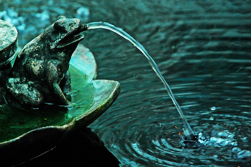Green frog fountain