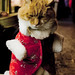 Christmas's Cat par Helowdy