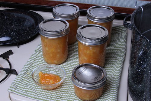 http://www.evilmadscientist.com/article.php/marmalade