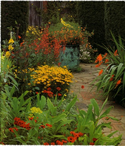 yellow orange red in sunset garden (gardening at sissinghurst - Tony Lord)