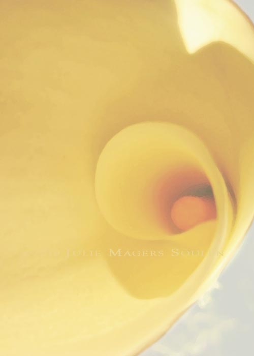 A luscious curve of butter yellow flower petal swirls into the center of the calla lily.