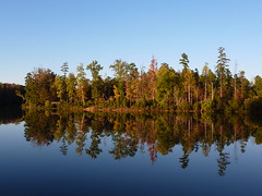 Colonel Beatty Park Lake in Matthews, NC