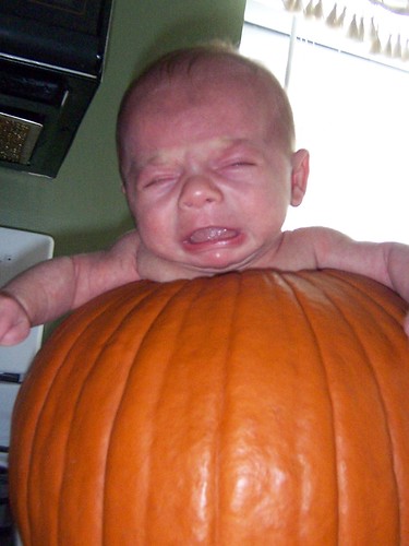 Logan in pumpkin