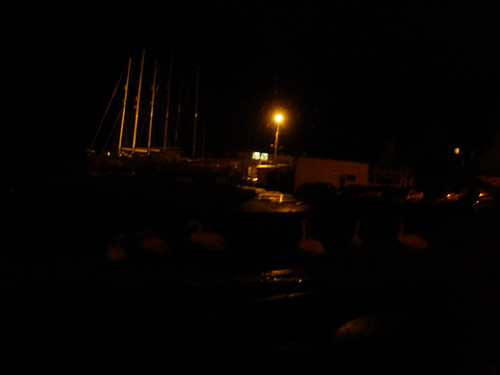 Bray Harbour swans at night