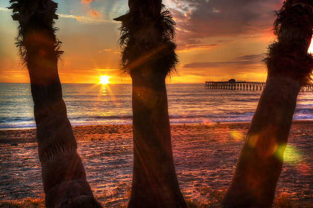 The Final Moment - San Clemente Palms at Sunset