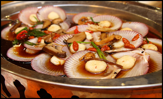 steamed-scallops