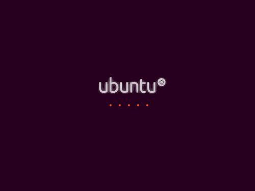 ubuntu10.04desktop_055
