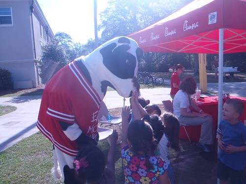 Celebrity Appearance by the Chick-fil-A Cow