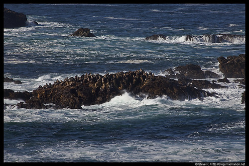 Sea Lion Rock #2