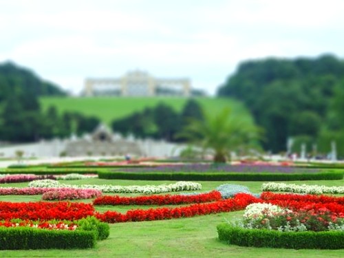 Garden behind a palace in Vienna 