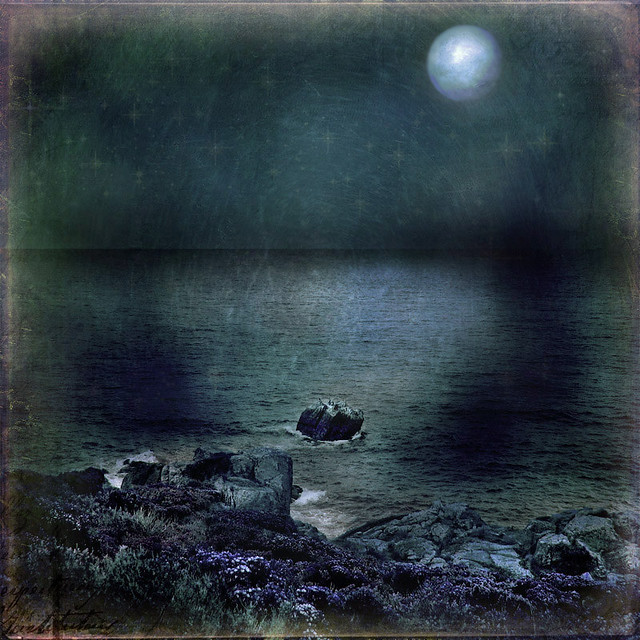 Night of the sea by shastadaisy~
