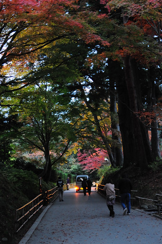 Chuson-ji, Hiraizumi / 岩手県 平泉 中尊寺