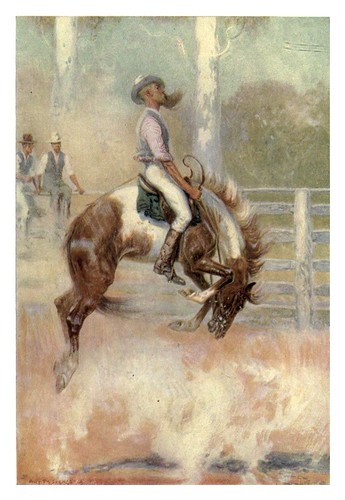 028-Un domador de caballos australiano-Australia (1910)-Percy F. Spence