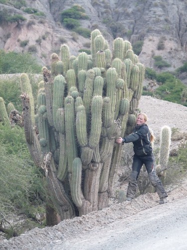 Christina und der Kaktus
