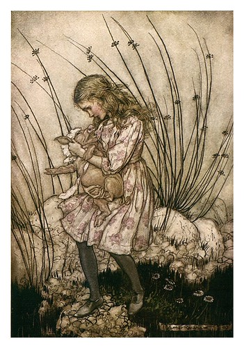 006-Pig and peeper-Alice's adventures in Wonderland-1907- Arthur Rackham