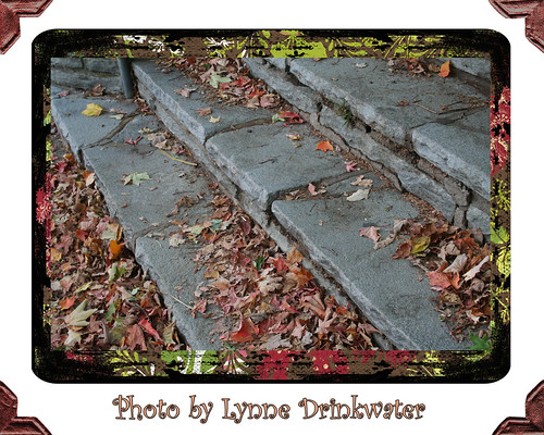 photo-by-lynne-drinkwater-steps