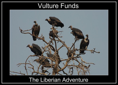 Multiple_vultures