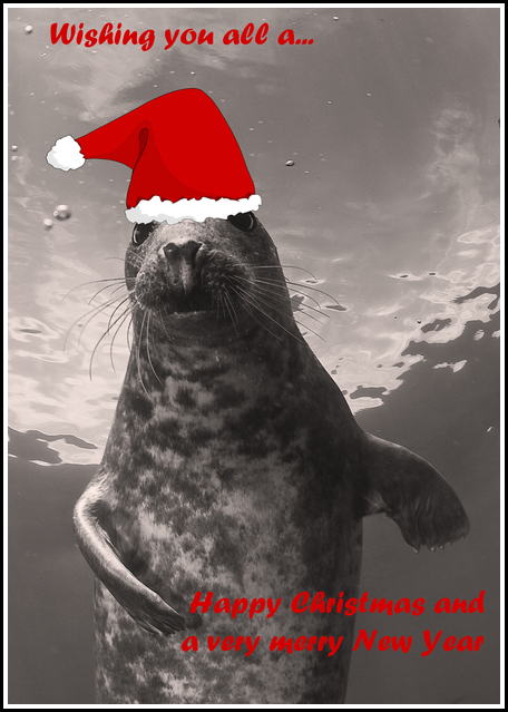 Christmas seal!