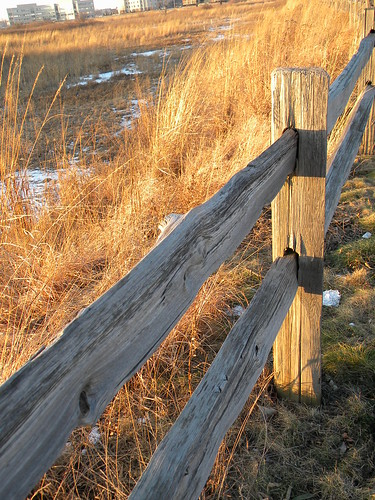 Fence at sunset