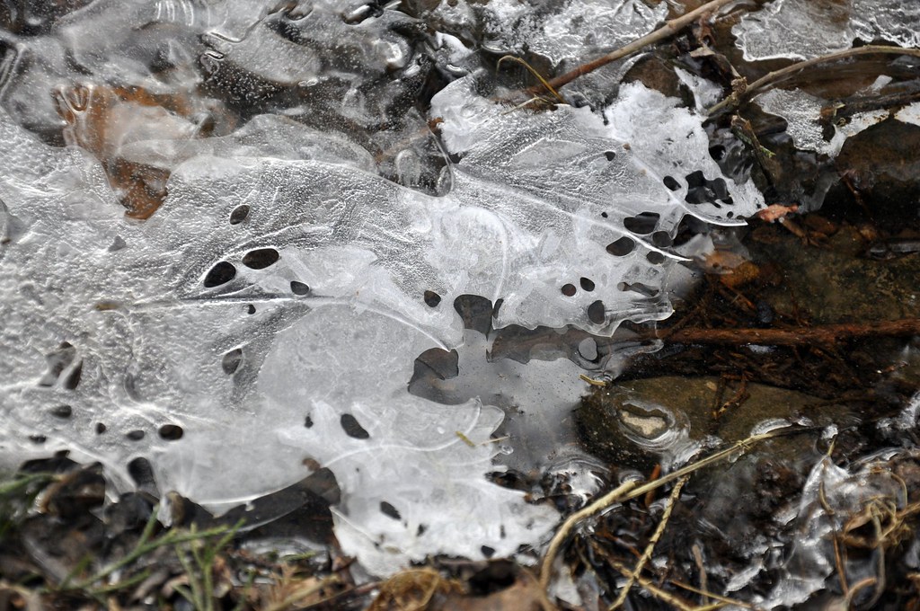Ice Formation in a Stream