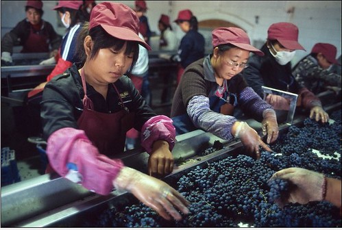 En imágenes: la industria del vino en China