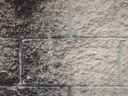 Brick Texture - 4