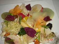 Crunchy vegetable salad , garlic oil vinaigrette and green onion mousse