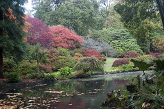 Autumn Colours at Exbury Gardens