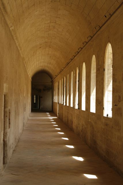 Chartreuse Pontificale du Val de Bénediction, Villeneuve-lès-Avignon