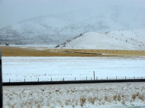 I15 in the Snow-5