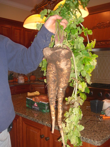 Out of control Parsnips