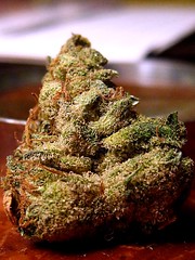 smkn420love has added a photo to the pool:legit perfect looking bud