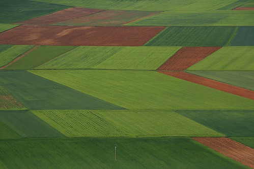 フリー写真素材|自然・風景|田畑・農場|スペイン|