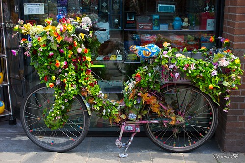 Floral bike