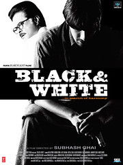 Black and White poster